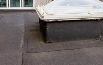 disadvantages of Balnamoon flat roofs