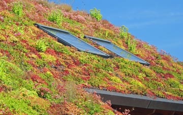 Balnamoon living roof systems