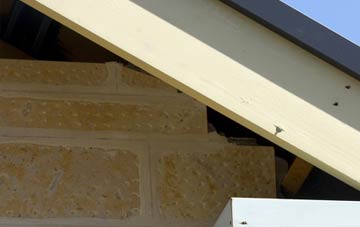 soffit repair Balnamoon